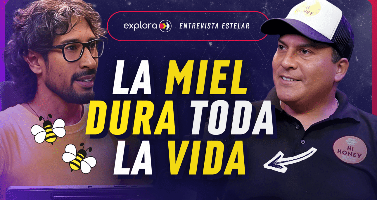 ¿Por qué la miel nunca caduca? El secreto de Hi Honey! 🐝🍯